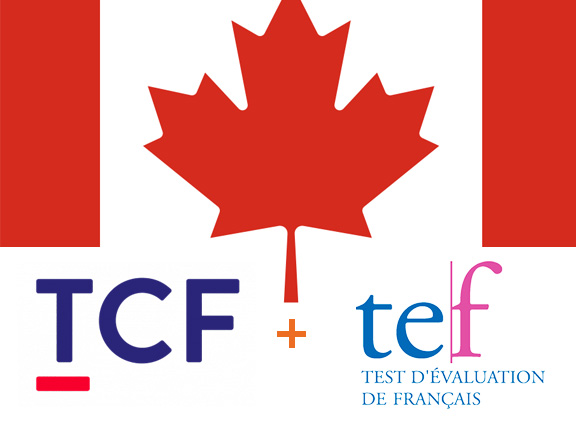 Tcf Canada And Tef Canada Move Up Formation 7359